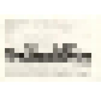 Фотография: вид набережной г.Камень-на-Оби Алтайского края с реки