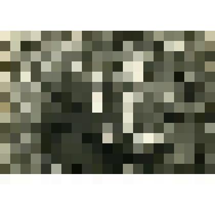 Фотография. Д. Чижов и Качалин Д., жители села Дьяковского в Коломенском парке