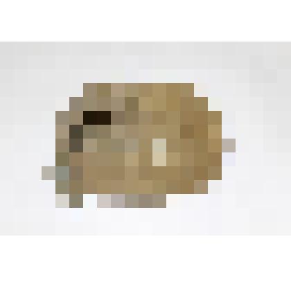 Чехол от фляжки солдатской