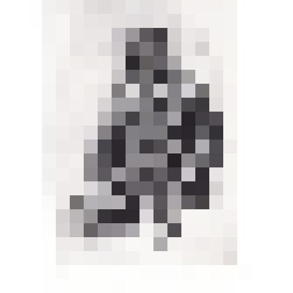 Репродукция с картин