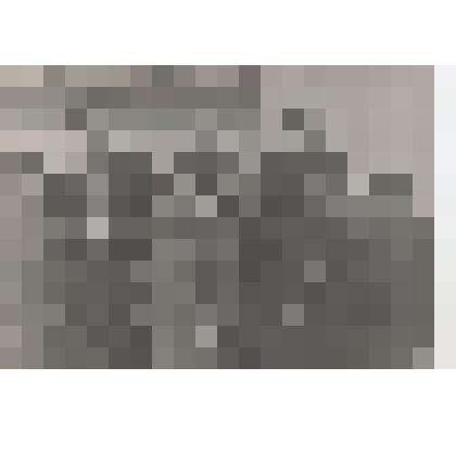 Фотография. Гребенщикова Анна Васильевна в группе ветеранов Великой Отечественной войны 1941-1945 гг