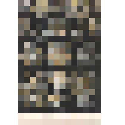 Иллюстрация. Таблица № 80. Выпуск "14-16".
 Из комплекта таблиц "Красота форм в природе"