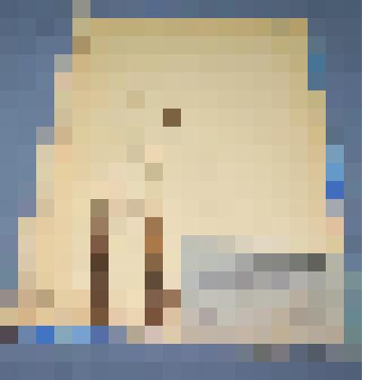 Ботаническая коллекция. Пушица болотная, семейство сурепковые,  на гербарном листе. Cuperaceae Eriophorum angustifolium Roth