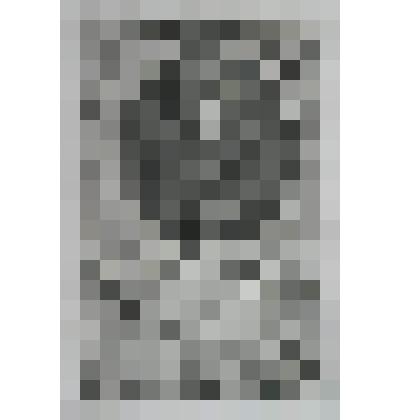 Портрет Джона, [I], барона Сомерс, Лорда - канцлера