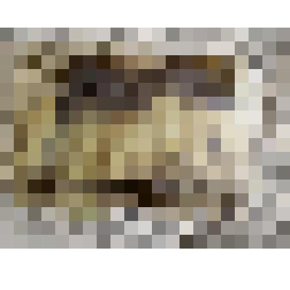 Гребень костяной