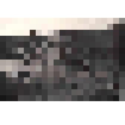 Фото ч/б. Драга