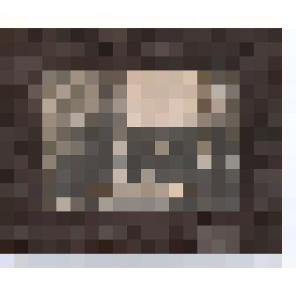 Ф/чб/п. Коммуна маляров завода "Возрождение" (с 1932 г. "Коммунист). Марксштадт. АССР НП. 1920-е. 19,5х24