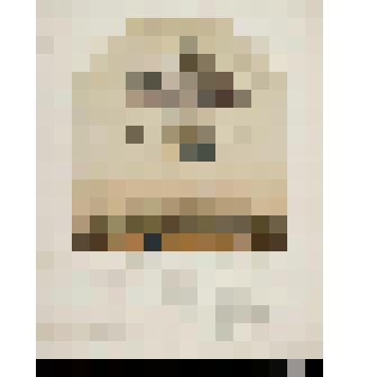 Воздушное путешествие или модный шар-кринолин