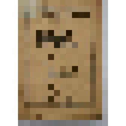 Книга. Воспитание и откорм свиней. Типография П.П.Сойкина