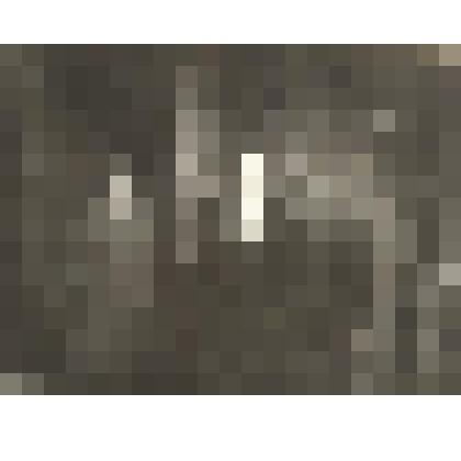 Мызгин  И.М. с братом Григорием и Николаем