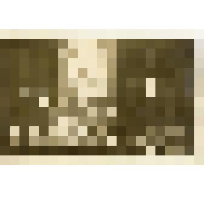 Фотография. Москва. Дом ученых. Президиум научной сессии АН СССР