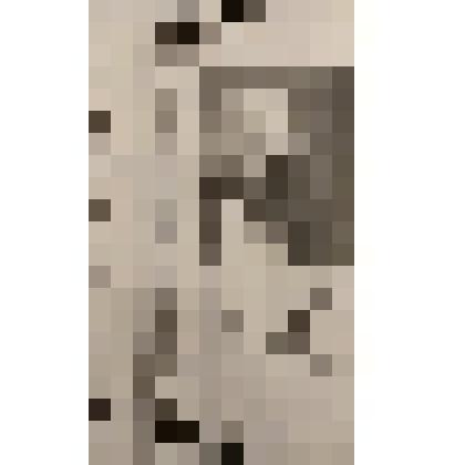 Билет. Анастасия Ивановна Цветаева. 27 сентября 2006 г