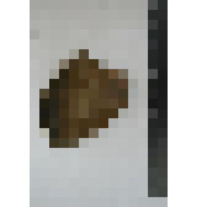 Сосуд. Фрагмент