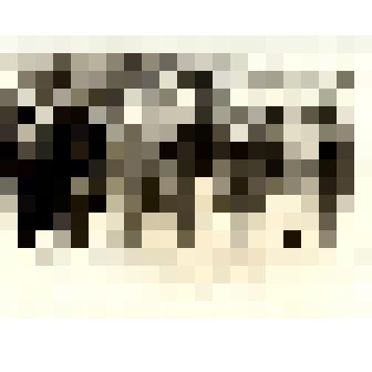 Фотография " В день  Победы     1977 год. Работники РК КПСС "