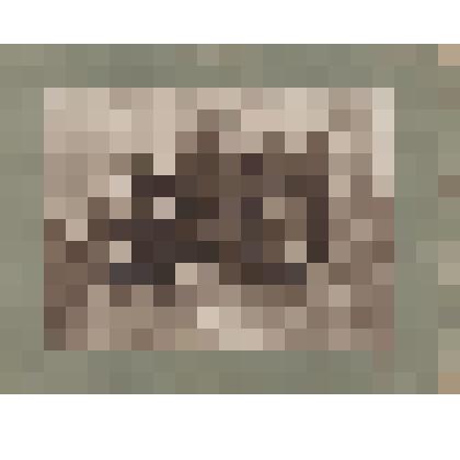 Фото. Выпускной класс Сергачского высшего начального училища с преподавателями ( на паспарту)