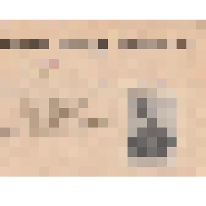 Фотонегатив репродукционный. "Король шведский Карл XII (с гравированного портрета Танже 1717 г)"