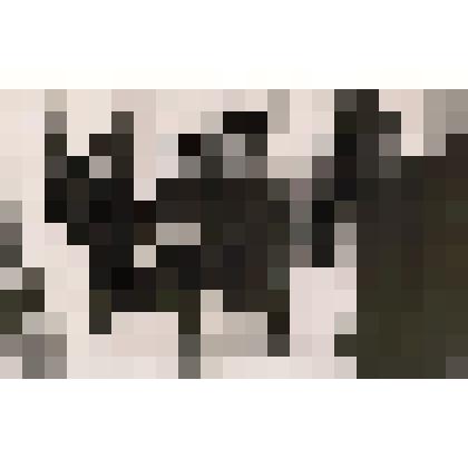 Фотография. Салимгареев С.Я. - председатель Народного контроля (в светлом плаще)