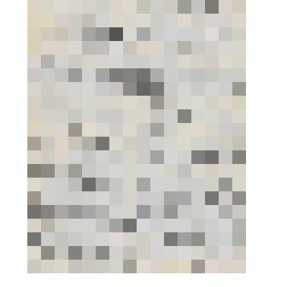 Документ. Белопухов С. С. Газета рукописная "Вестник 15-ой палаты" Томского госпиталя военного комиссариата от 08 ноября 1920 года. Из коллекции материалов о Белопухове Сергее Семеновиче (1900-1975), уроженце села Гольцовка Георгиевской волости Кинешемско