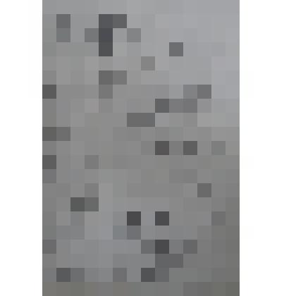 Акт рабочей комиссии о приемке законченного строительством объекта в эксплуатацию (копия)