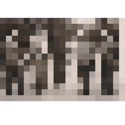 Белоречане