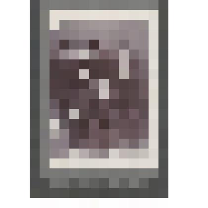 Фотография. Семьи Треушковых и Самодовых