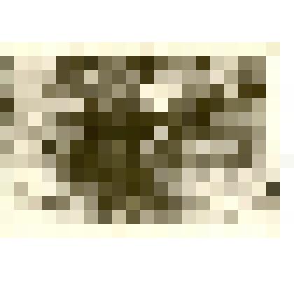 Фотография. Ресмусный станок Каменской мебельной фабрики