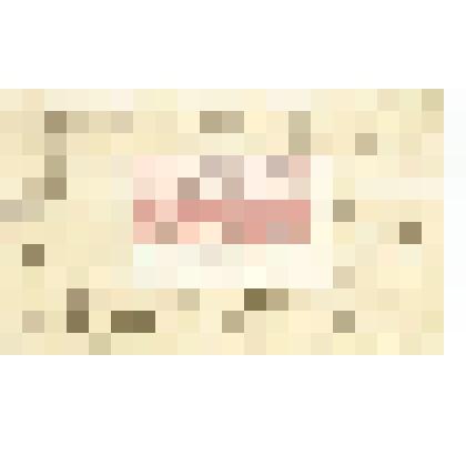 Письмо Саккардо Н. М. Мартьянову на иностранном языке (французский язык) о грибах