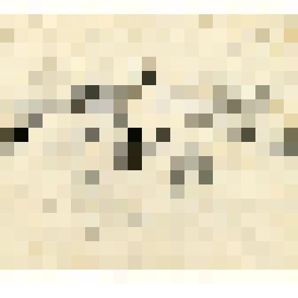 На прогулке (Чета Богдановых и Л.В.Дилакторская). Шарж. Рисунок