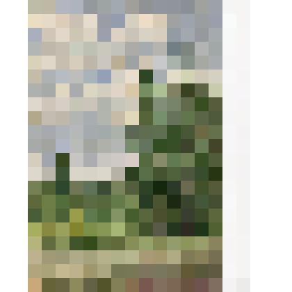 Этюд. Следы дороги Стромынки