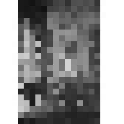 Фермерский дворец. Кабинет Александра II. Юго-восточный угол