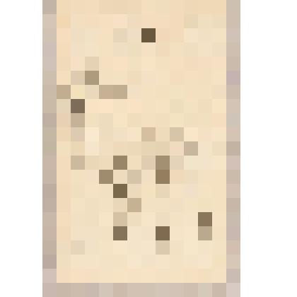 Олень, из альбома  «190 пейзажей; зарисовки, иллюстрации, карикатуры»