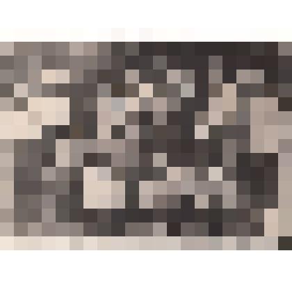 Фотография: бывшие курсанты подольских военных училищ во время встречи в с. Ильинском