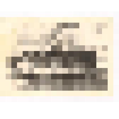 Фотография. Учащиеся Кутейниковской СШ № 3 Зимовниковского района с ветеранами Великой Отечественной войны