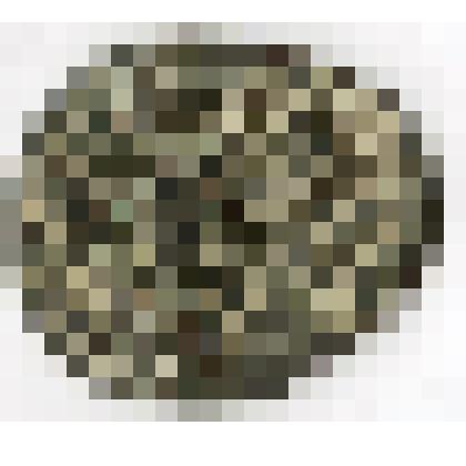 Монета. Российская империя