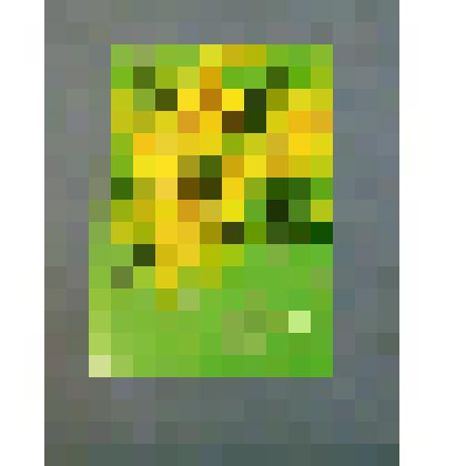 Документ. Поздравительная открытка от отряда "Поиск" школы N4 г Усть-Кута Иркутской обл