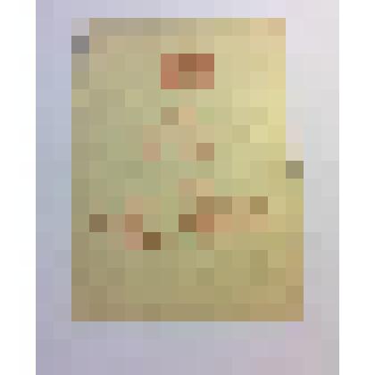 Удостоверение к медали «За Победу над Германией в Великой Отечественной войне 
1941-1945 г.г.» Б № 0132658
на имя Хмельницкого Исая Львовича от 24 октября 1945 г