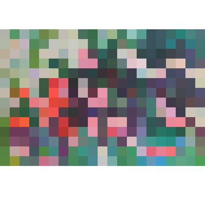 Маки Бюрокана