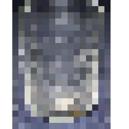 Стакан чайный