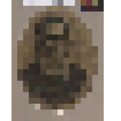 Портрет Толстого Л.Н