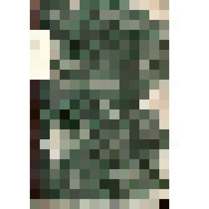 Пензенские епархиальные ведомости. № 1-24