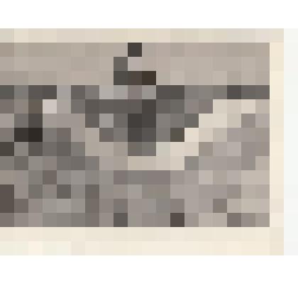 Фото/чб. Энгельсская опытно-мелиоративная станция. Пуск воды в оросительный канал. 1960-1970