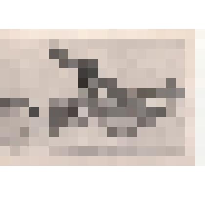 Фото/чб. Энгельсская опытно-мелиоративная станция (ВОЛЖНИИГИМ). Уборка зерна сортировочным элеватором. 1960-1970-е