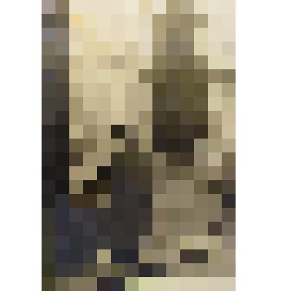 Фото ГСС И.Г. Воробьёва в дни отдыха в санатории "Правда" г. Сочи