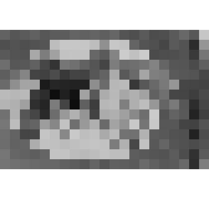 Фотография Г.Гребнюка