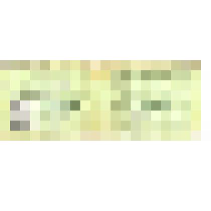 Удостоверение участника войны Тырголы Н.С