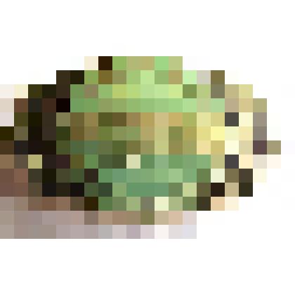 Значок сувенирный "Хабаровск. Политехнический институт"