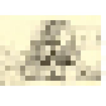 Фотография: праздник борозды по случаю окончания сева в Каменском районе Алтайского края