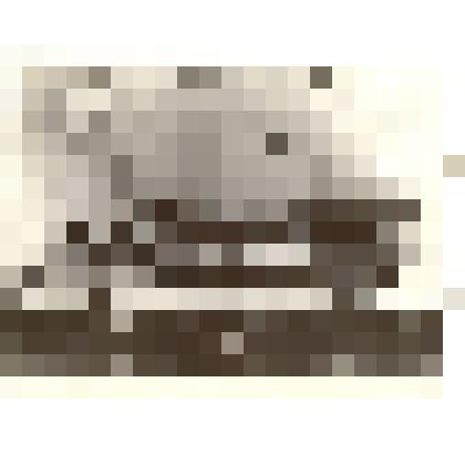 Фотография: пристань села Камень Барнаульского уезда Томской губернии. Пароход "Воронцов". Копия