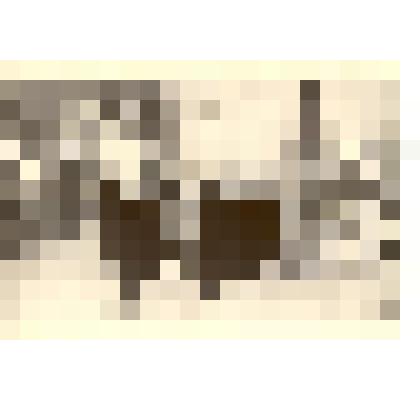 Фотография: жители 56 административного участка под руководством председателя уличного комитета Александры Семеновны Разиной возложили венки у памятника В.И.Ленину возле музея