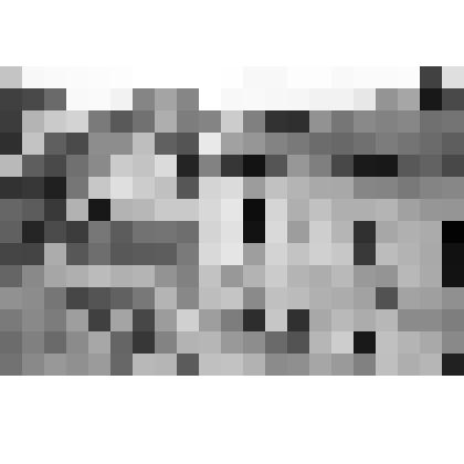 Фотография. То же